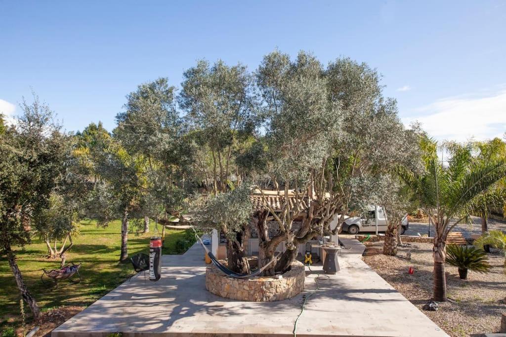 Casa Petit Paraiso لاغوا المظهر الخارجي الصورة